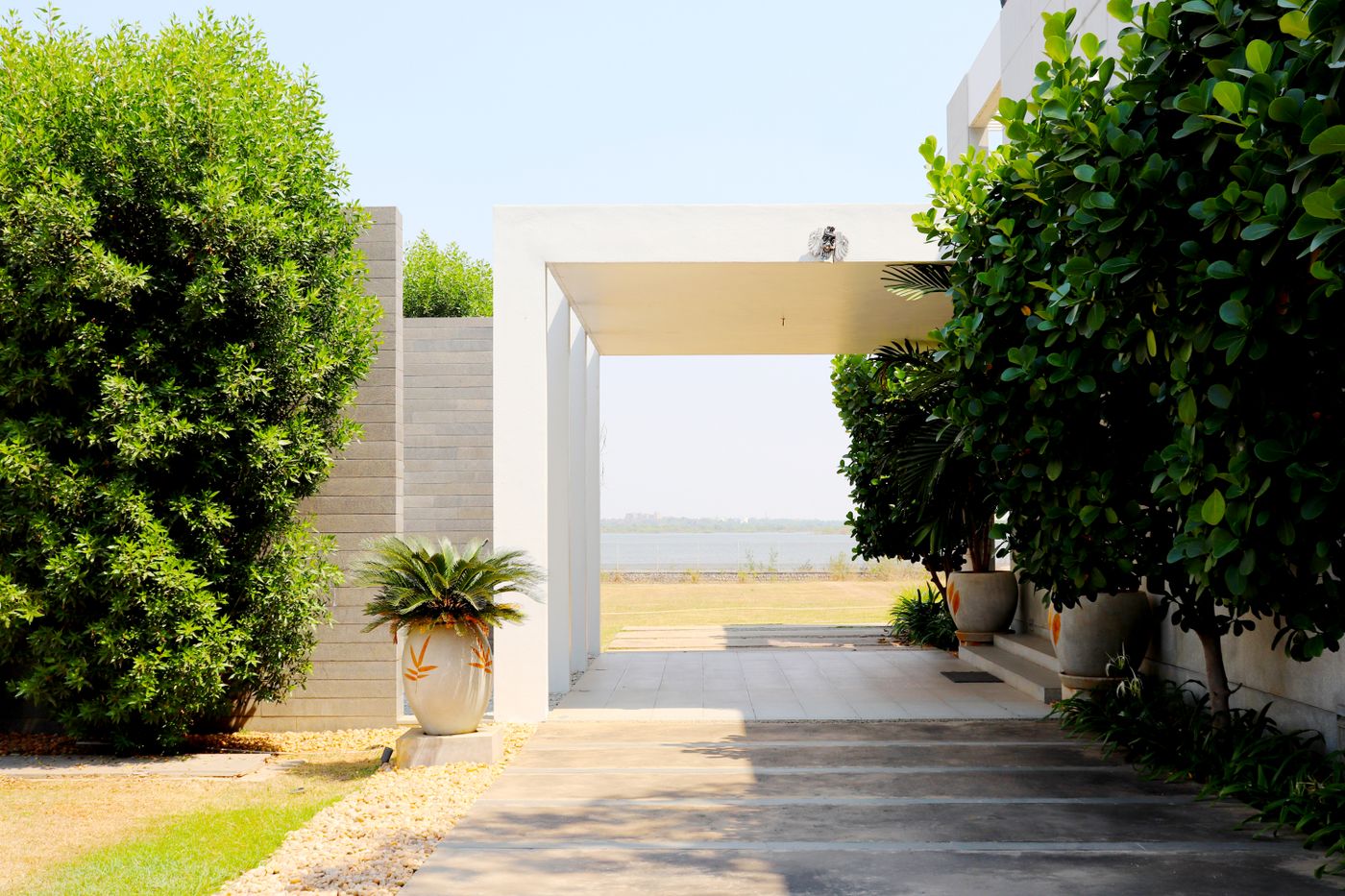 Contemporary home entrance with lush greenery and modern driveway in Sydney