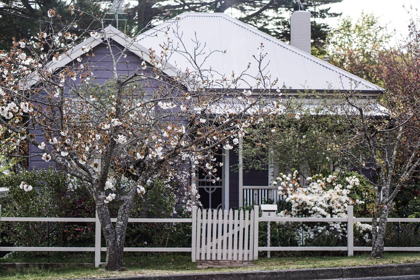 Charming residential home in NSW with blooming garden and white picket fence